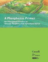 a-phosphorus-primer